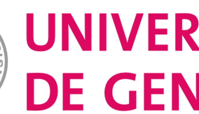 Legal and Privacy Issues using Generative AI