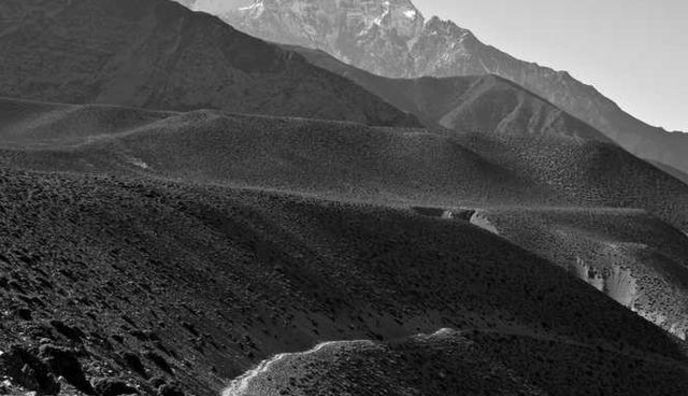 Predicting or understanding: the AI dilemma, and its relevance to AI for good