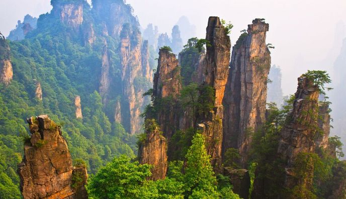 Aliquam ornare facilisis velit ut viverra